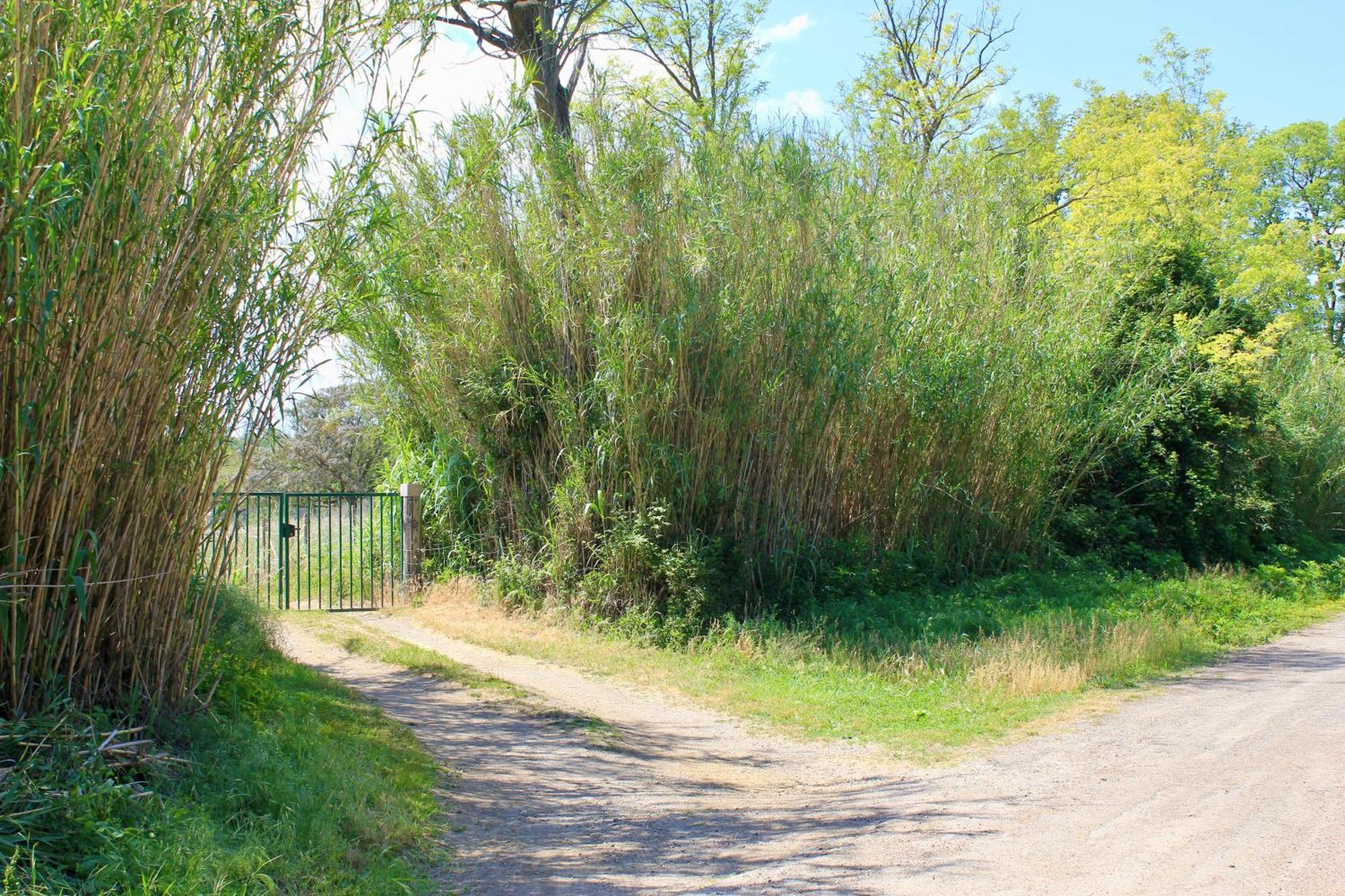 Lobilum En Camargue Villa Saint-Martin-de-Crau Kültér fotó